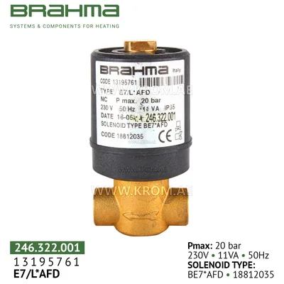 Brahma 13195761 E7/L*AFD oil valve