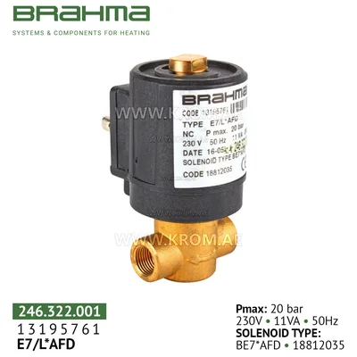 Brahma 13195761 E7/L*AFD oil valve