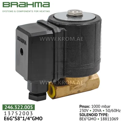 Brahma 13752003 E6G*S8*1/4*GMO gas valve