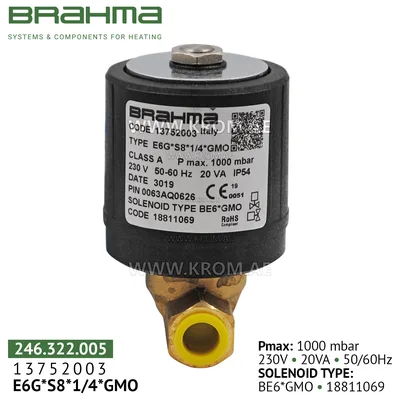 Brahma 13752003 E6G*S8*1/4*GMO gas valve