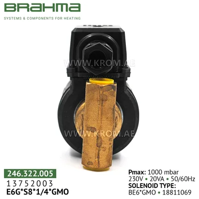 Brahma 13752003 E6G*S8*1/4*GMO gas valve