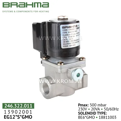 Brahma 13902001 EG12*S*GMO gas valve