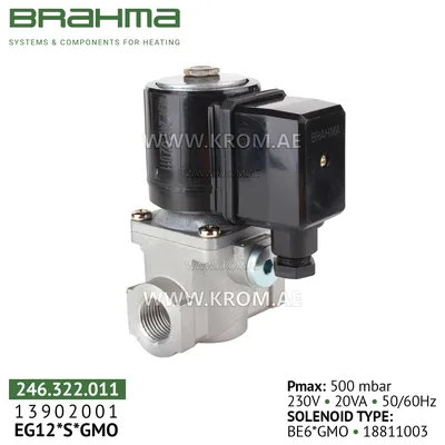 Brahma 13902001 EG12*S*GMO gas valve