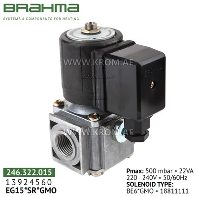 Brahma 13924560 EG15*SR*GMO gas valve