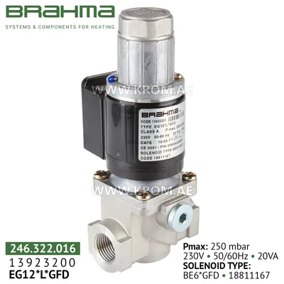 Brahma 13923200 EG12*L*GFD gas valve
