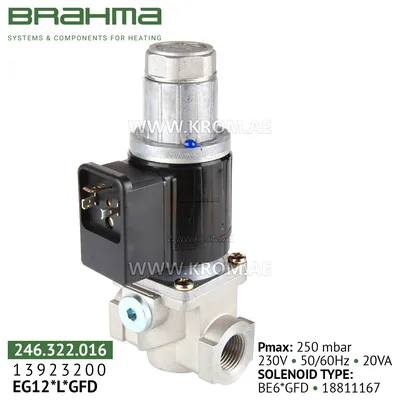 Brahma 13923200 EG12*L*GFD gas valve