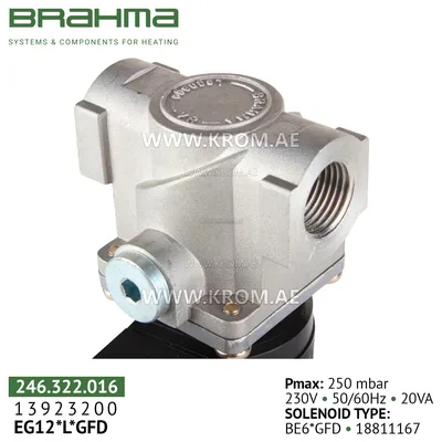 Brahma 13923200 EG12*L*GFD gas valve