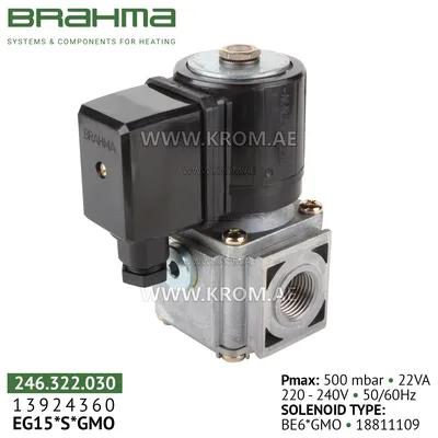 Brahma 13924360 EG15*S*GMO gas valve