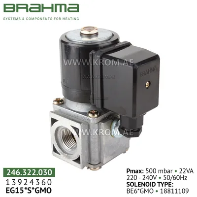 Brahma 13924360 EG15*S*GMO gas valve