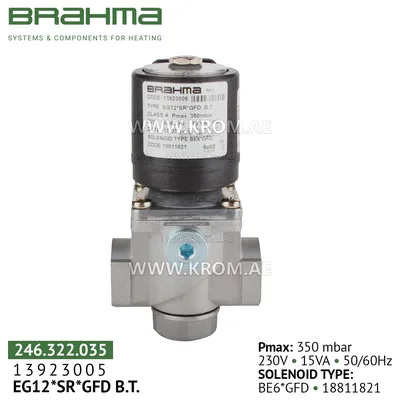 Brahma 13923005 EG12*SR*GFD gas valve