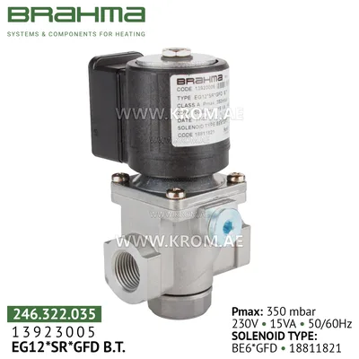 Brahma 13923005 EG12*SR*GFD gas valve
