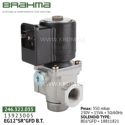 Brahma 13923005 EG12*SR*GFD gas valve