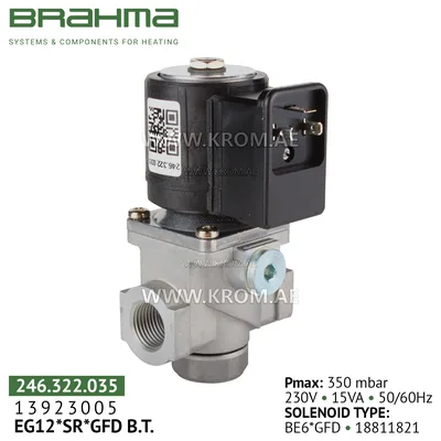Brahma 13923005 EG12*SR*GFD gas valve