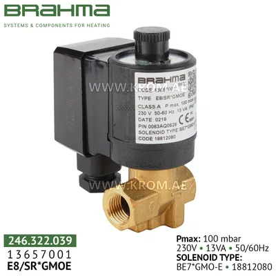 Brahma 13657001 E8/SR*GMOE gas valve