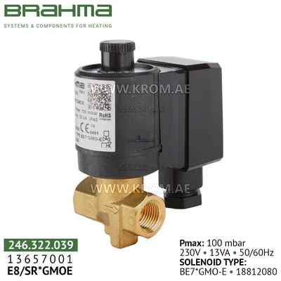 Brahma 13657001 E8/SR*GMOE gas valve