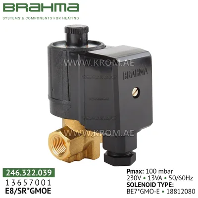 Brahma 13657001 E8/SR*GMOE gas valve