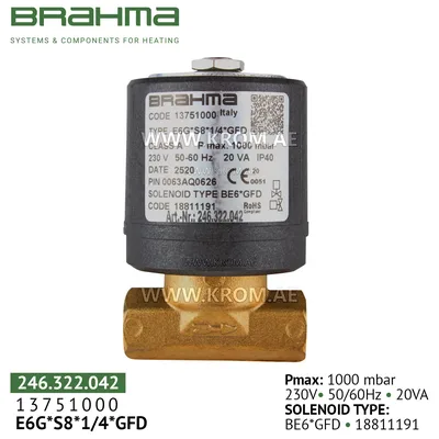 Brahma 13751000 E6G*S8*1/4*GFD gas valve