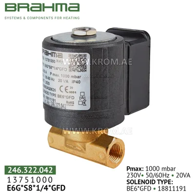 Brahma 13751000 E6G*S8*1/4*GFD gas valve