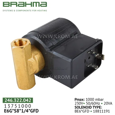 Brahma 13751000 E6G*S8*1/4*GFD gas valve
