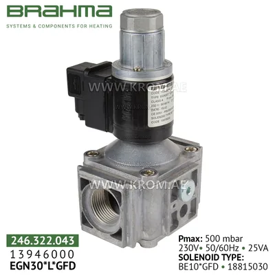 Brahma 13946000 EGN30*L*GFD gas valve