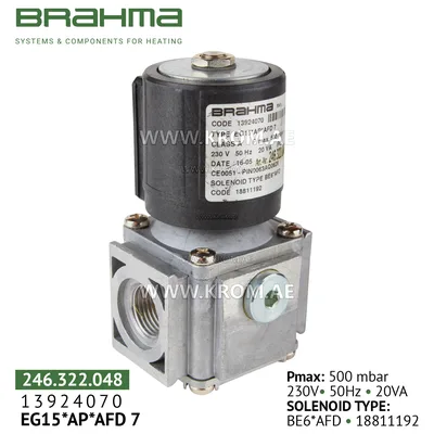 Brahma 13924070 EG15*AP*AFD 7 gas valve