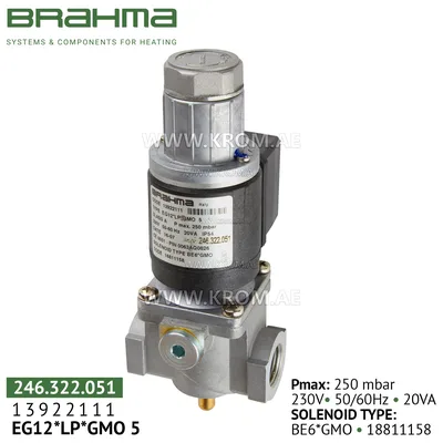 Brahma 13922111 EG12*LP*GMO5 gas valve