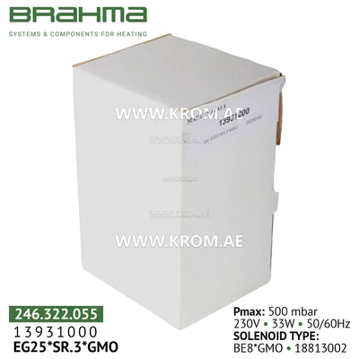 Brahma 13931000 EG25*SR.3*GMO gas valve