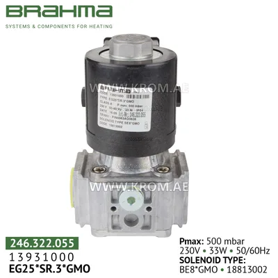Brahma 13931000 EG25*SR.3*GMO gas valve