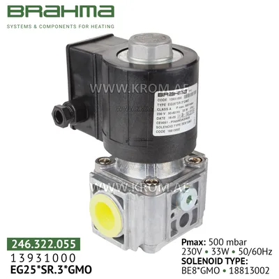 Brahma 13931000 EG25*SR.3*GMO gas valve