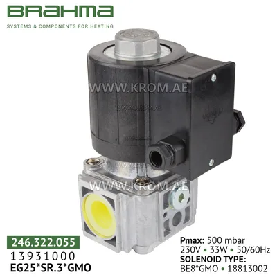 Brahma 13931000 EG25*SR.3*GMO gas valve