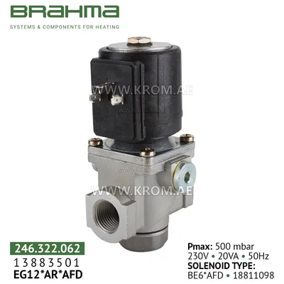 Brahma 13883501 EG12*AR*AFD gas valve