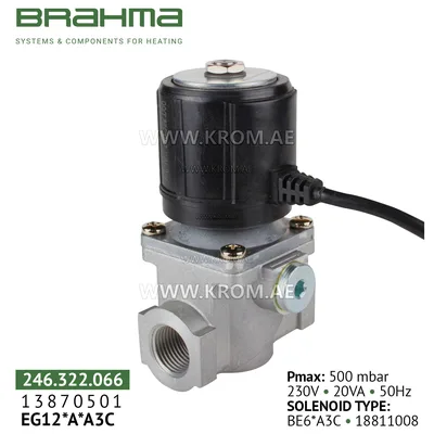 Brahma 13870501 EG12*A*A3C gas valve
