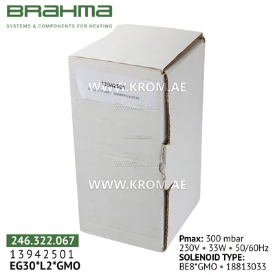 Brahma 13942501 EG30*L2*GMO gas valve