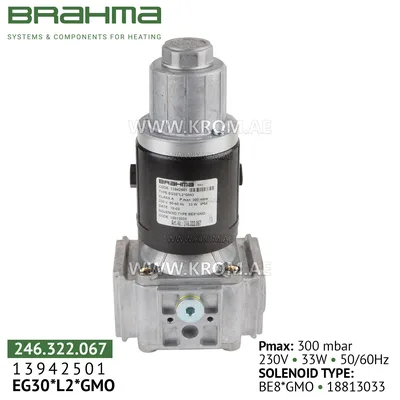 Brahma 13942501 EG30*L2*GMO gas valve