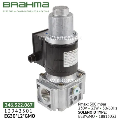 Brahma 13942501 EG30*L2*GMO gas valve