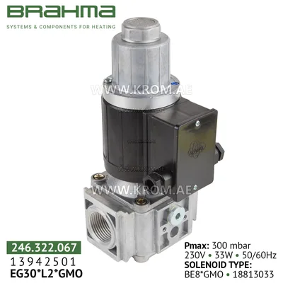Brahma 13942501 EG30*L2*GMO gas valve