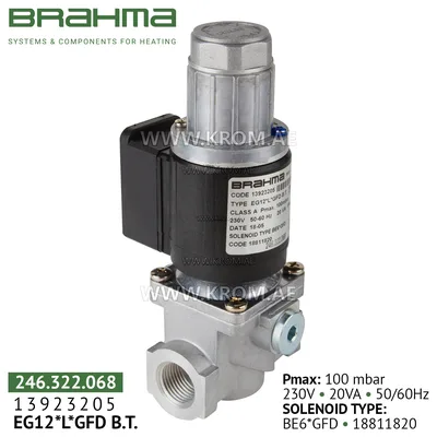 Brahma 13923205 EG12*L*GFD gas valve