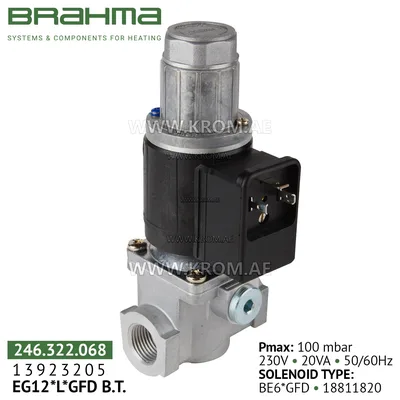 Brahma 13923205 EG12*L*GFD gas valve