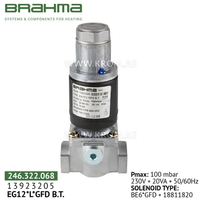 Brahma 13923205 EG12*L*GFD gas valve