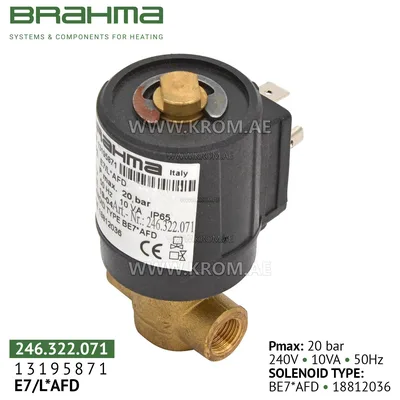 Brahma 13195871 E7/L*AFD oil valve