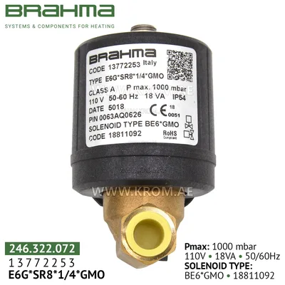 Brahma 13772253 E6G*SR 8*1/4*GMO gas valve