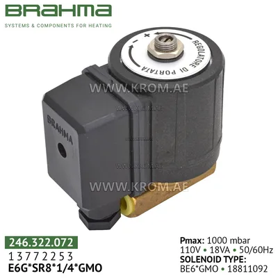 Brahma 13772253 E6G*SR 8*1/4*GMO gas valve