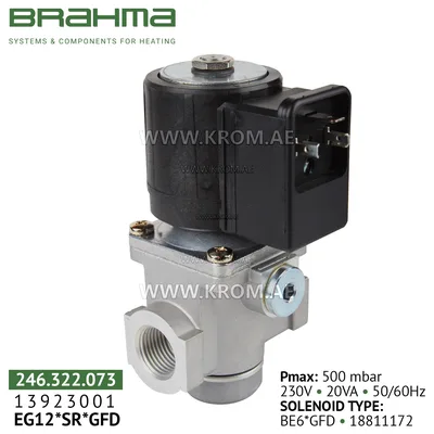 Brahma 13923001 EG12*SR*GFD gas valve