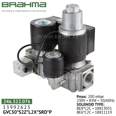Brahma 13992623 GVC30*S2Z*L2X*SRD*P صمام الغاز