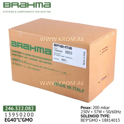Brahma 13950200 EG40*L*GMO gas valve