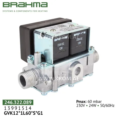 Brahma 13991514 GVK12*1L60*S*G1 gas valve