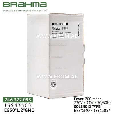 Brahma 13942503 EG30*L2*GMO gas valve