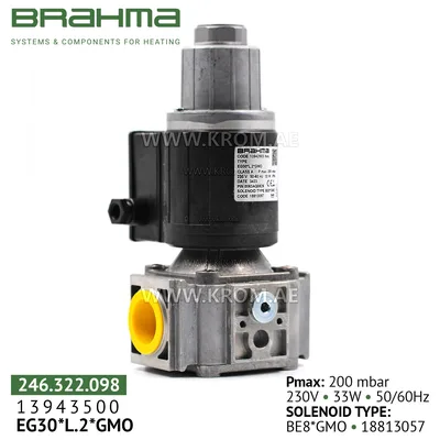 Brahma 13942503 EG30*L2*GMO gas valve