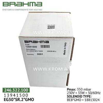 Brahma 13941500 EG30*SR.2*GMO gas valve