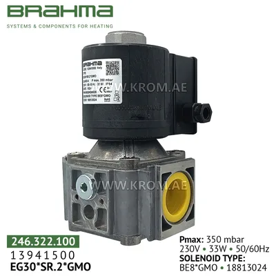 Brahma 13941500 EG30*SR.2*GMO gas valve